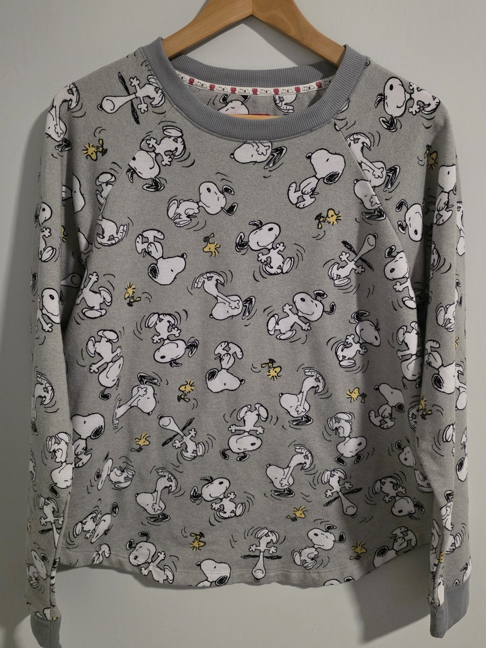 Peanuts Snoopy Woodstock Gray Long Sleeve Top Size M